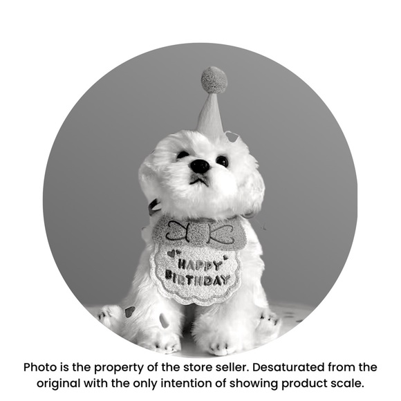 Pet Birthday Hat and Bib Set Blue/White for Small-Medium Dogs Cats NWT - Picture 8 of 9